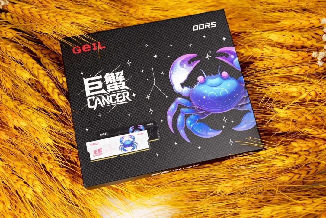 夯到爆的AI短剧创作神器 GeIL金邦巨蟹升级版DDR5内存