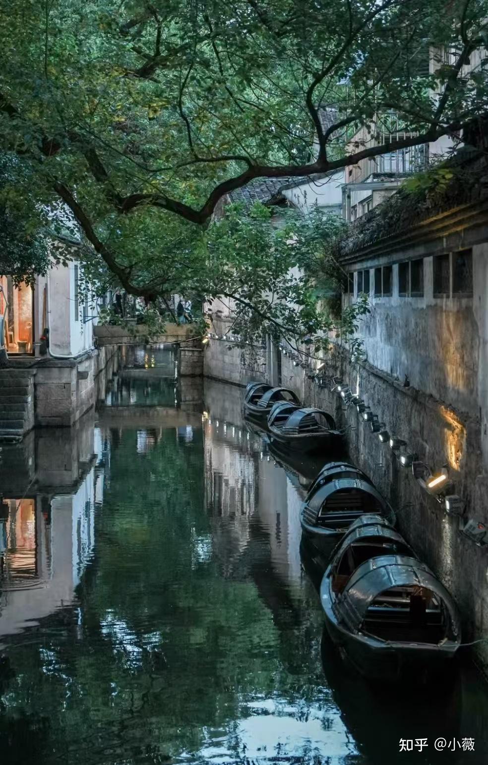 2025春节适合旅游的城市(2025春节适合旅游的城市是哪里)