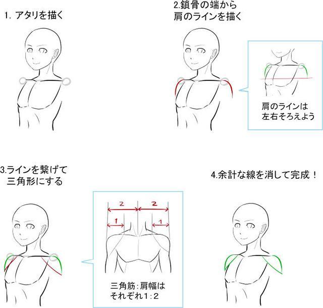 绘制肩膀时,请务必先完成绘制躯干和腿部.