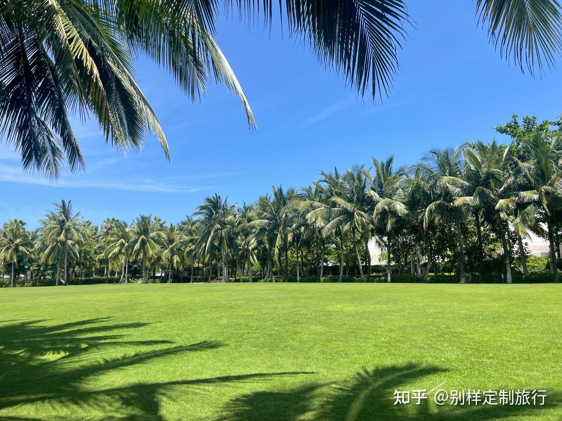 暑假去三亚住这些酒店，推门就是海！私藏12家亲海住宿清单，躺着看日出不香吗？ - 知乎
