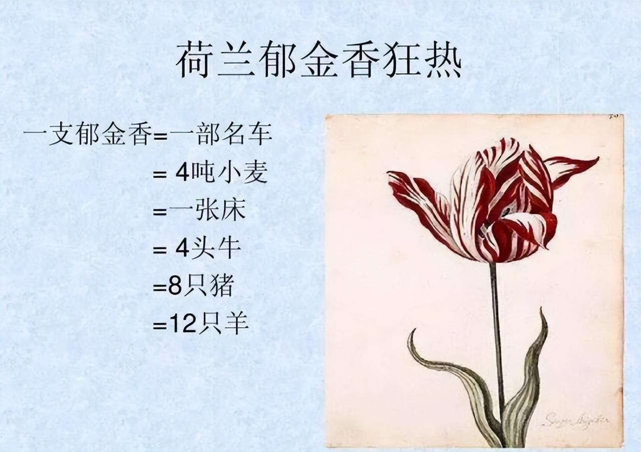 贰——郁金香泡沫经济危机