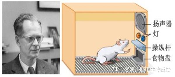 神经反馈概述 | 必须了解的基础知识点 - 知乎