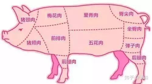 买猪肉:一张图教你辨别不同猪肉,以后去菜市场不怕被骗 - 知乎