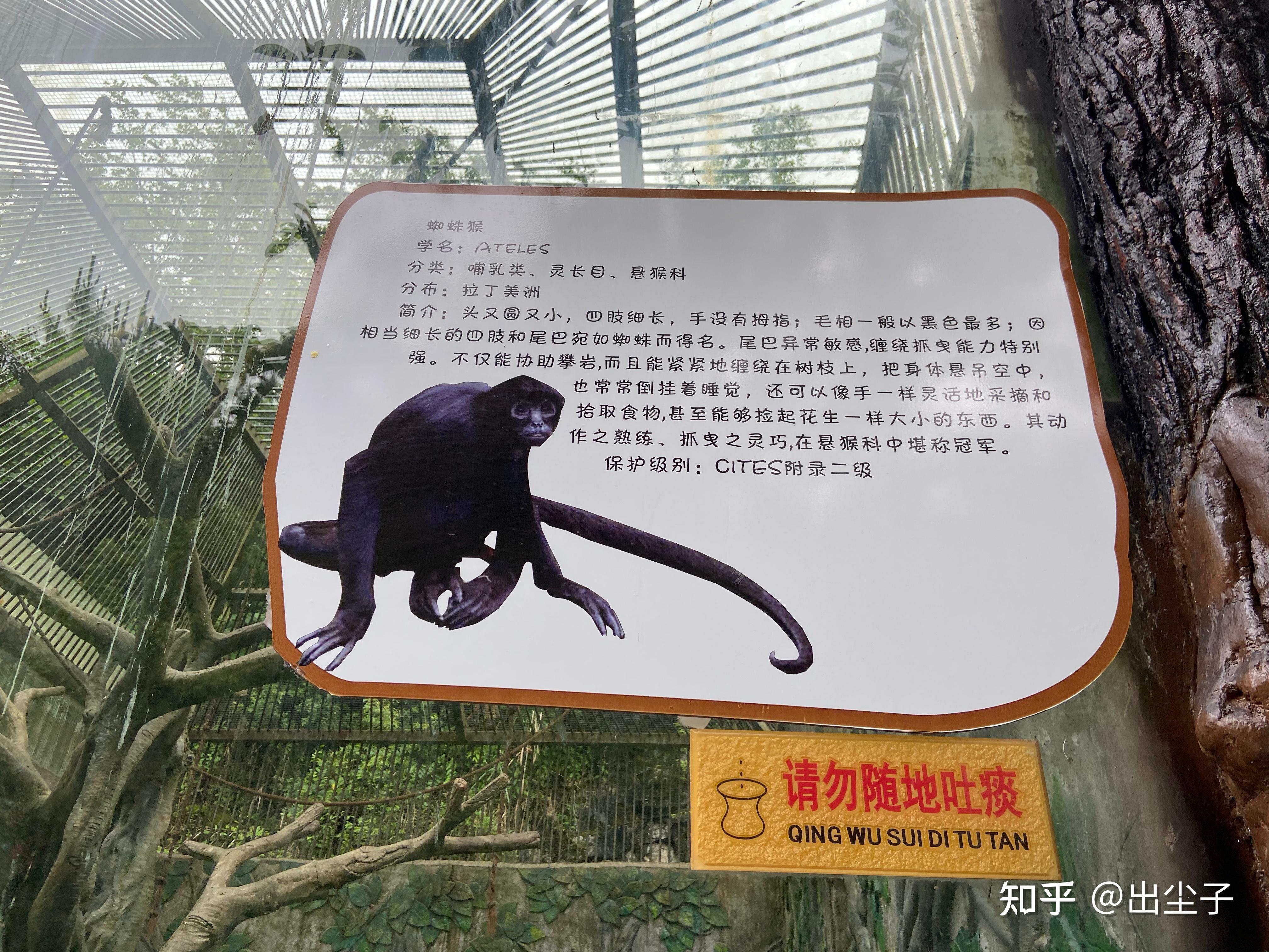 游修文扎佐野生动物园 - 知乎