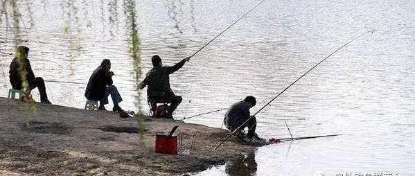 什么是黑坑鱼野钓 v2-ed5e6f01d7fe0c31741d29bc9d60c5b4_1440w.jpg?source=172ae18b