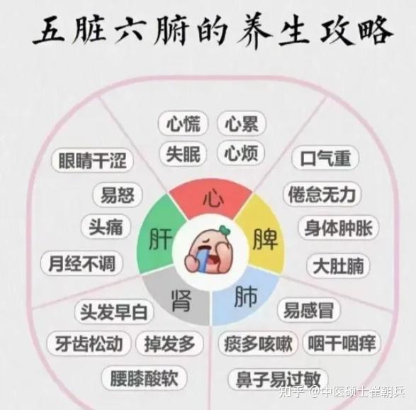 心、肝、脾、肺、肾、五脏皆虚，身体会有什么信号？一次讲明白 - 知乎