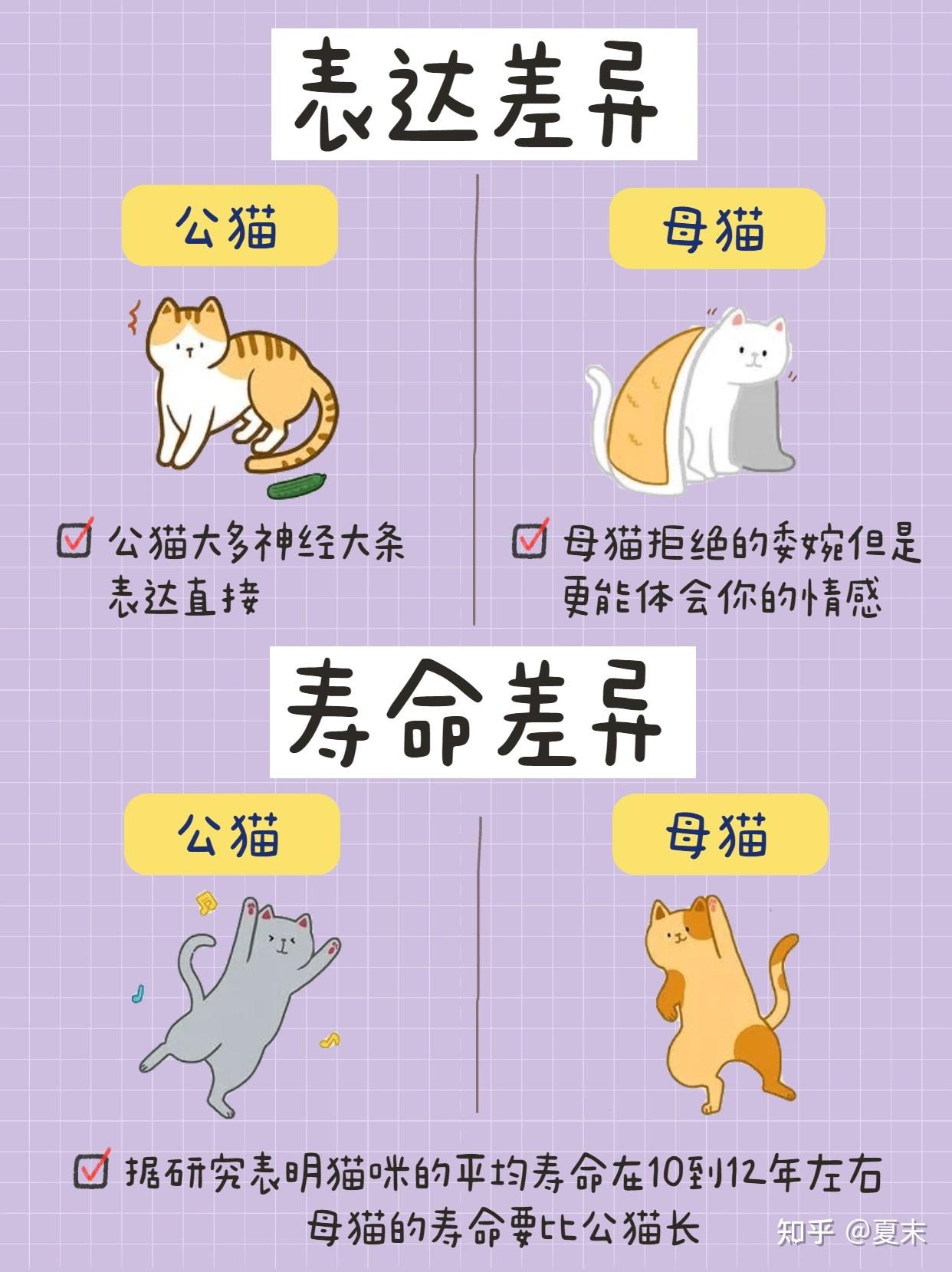 公猫VS母猫,新手养猫,养公猫还是母猫? - 知乎