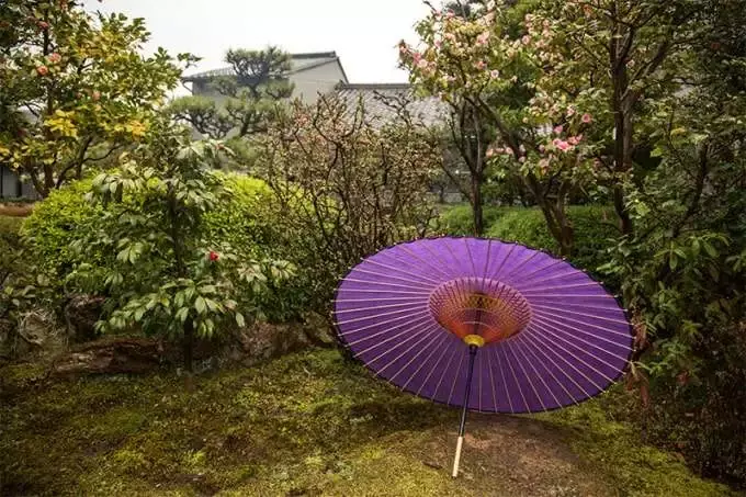 日本传统之美:用美浓纸制作的“蛇眼伞” - 知乎