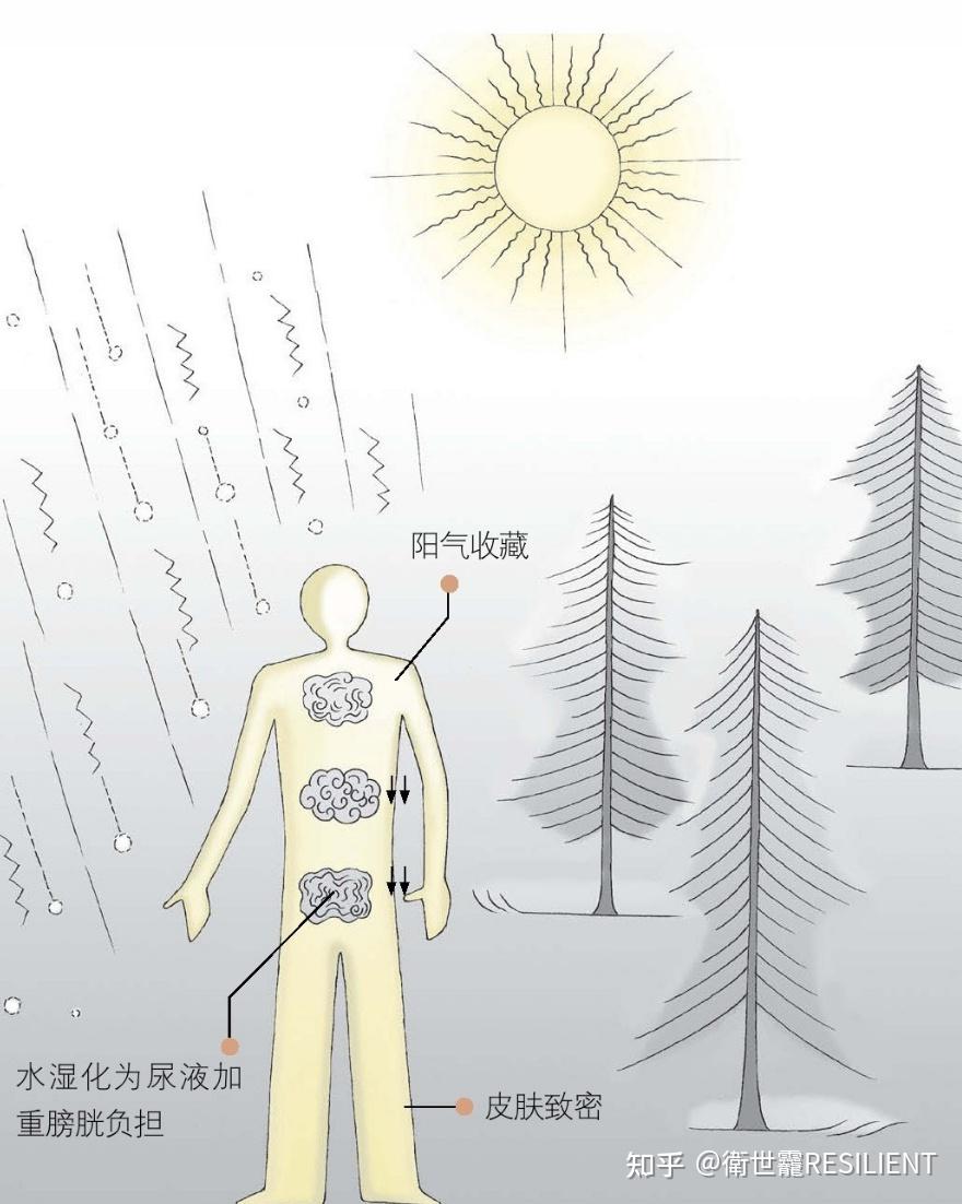 中华养生寒为万病之源冬季生活起居养生养肾为首要重要保护部位洗澡