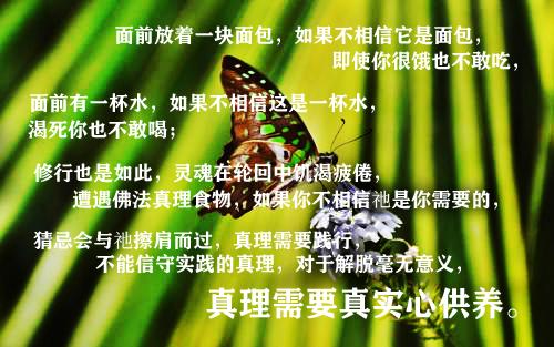 解脱了阿赖耶识妄念种性对于宇宙万有的妄念储存法我皆空