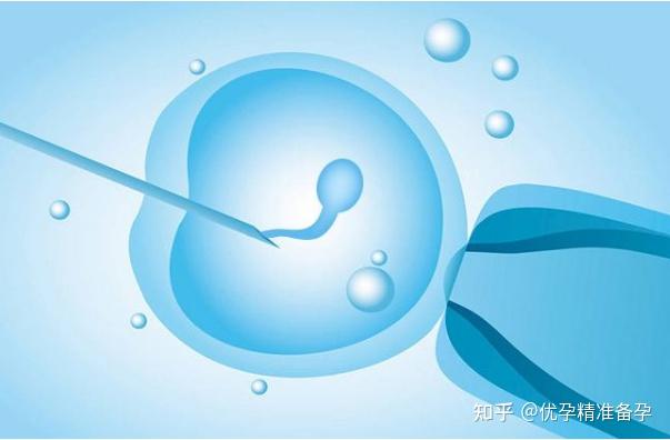促排会早衰?闭锁卵泡了解一下 - 知乎