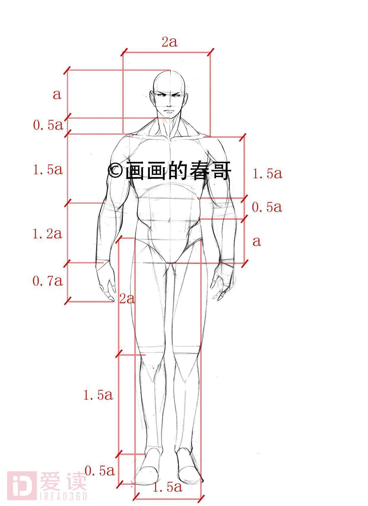 手绘教程 男性和女性人体的差别你掌握了吗?