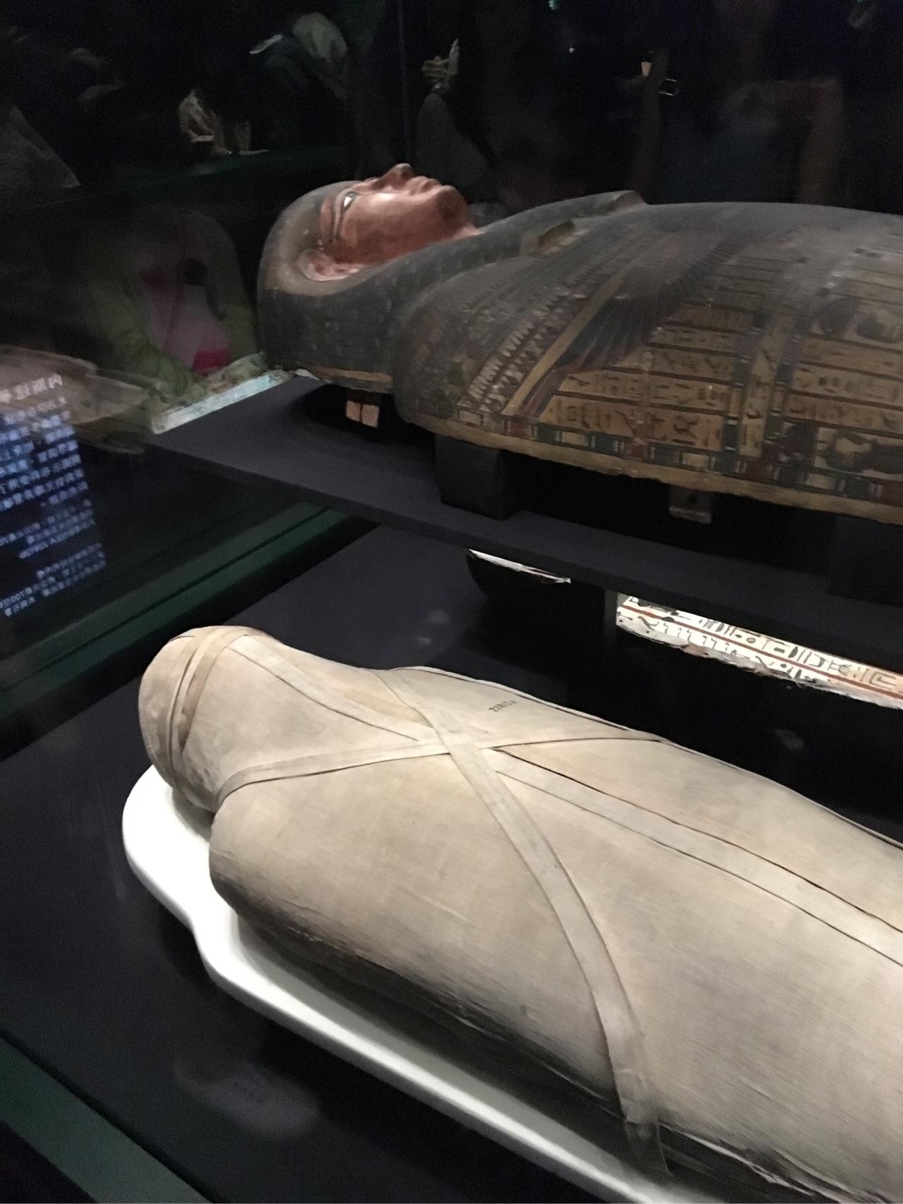 纽约大都会博物馆（一）木乃伊的秘密 - 知乎