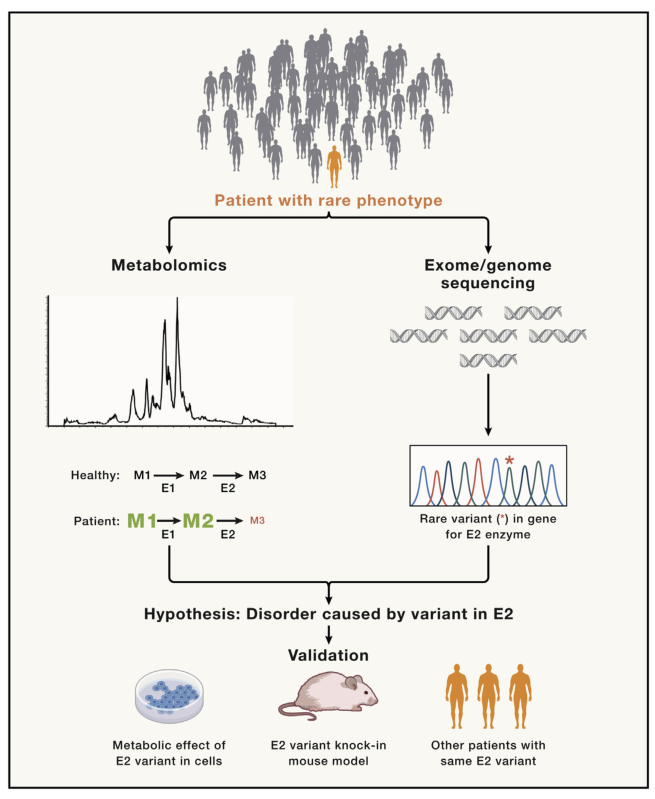 【Cell】IF66+,2022代谢组学研究进展解读，高分辨空间代谢组学进入黄金发展期 - 知乎