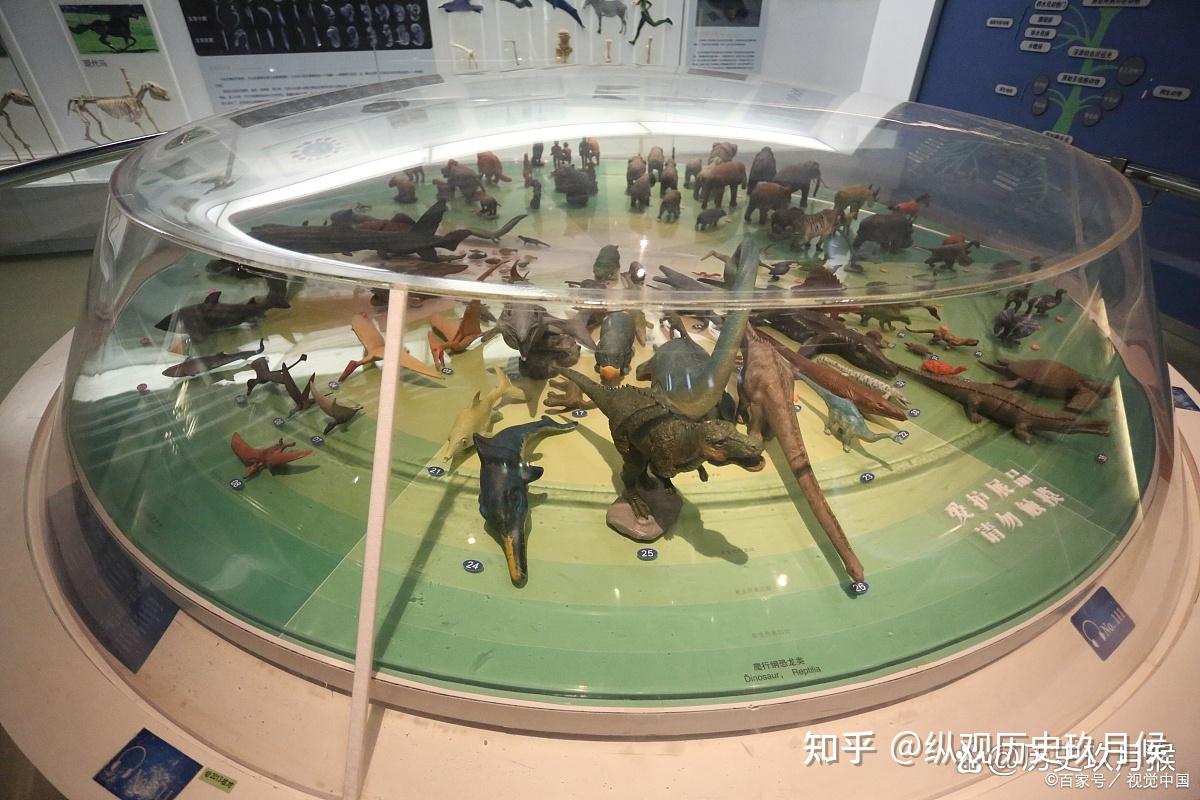 南京十大著名博物馆:从古至今,这座城市让你惊奇不已!