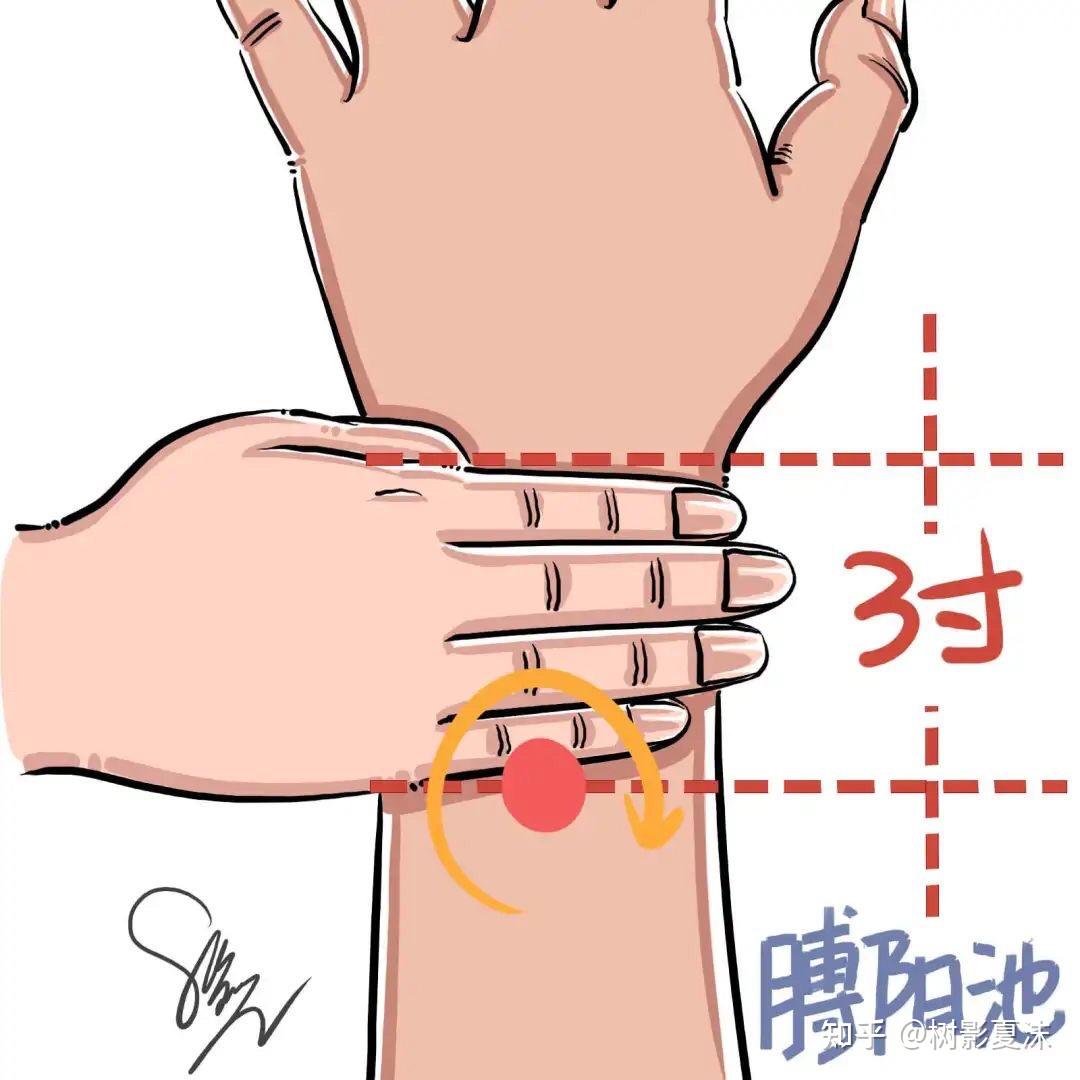 在腕背横纹上3寸,尺桡骨之间,另一只手的拇指端按揉穴位,有清脑开窍的