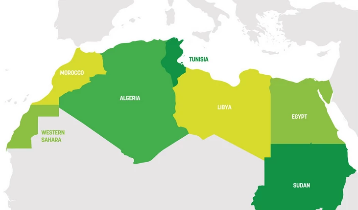 北非数字经济逐步增长,埃及成为北非地区最重要的投资目的地 - 知乎