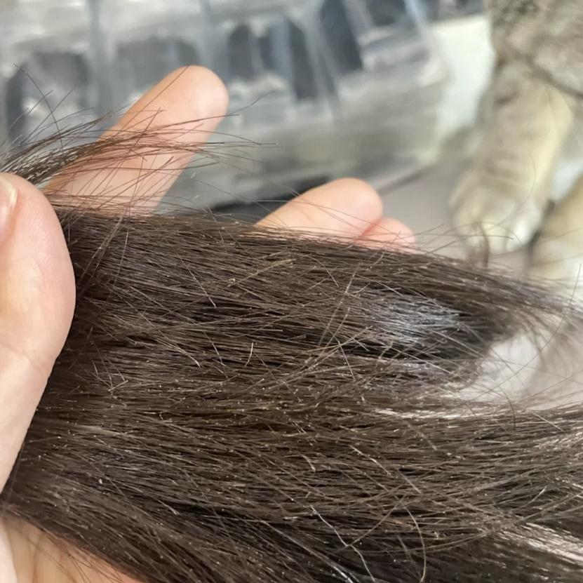 三,赶走分叉,日常养护