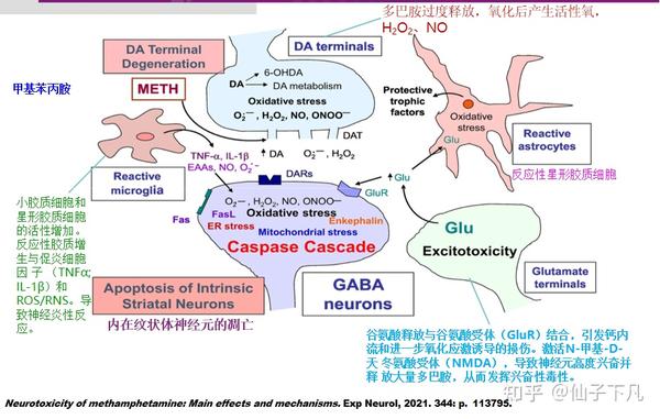 毒品成瘾治疗方案 - 知乎