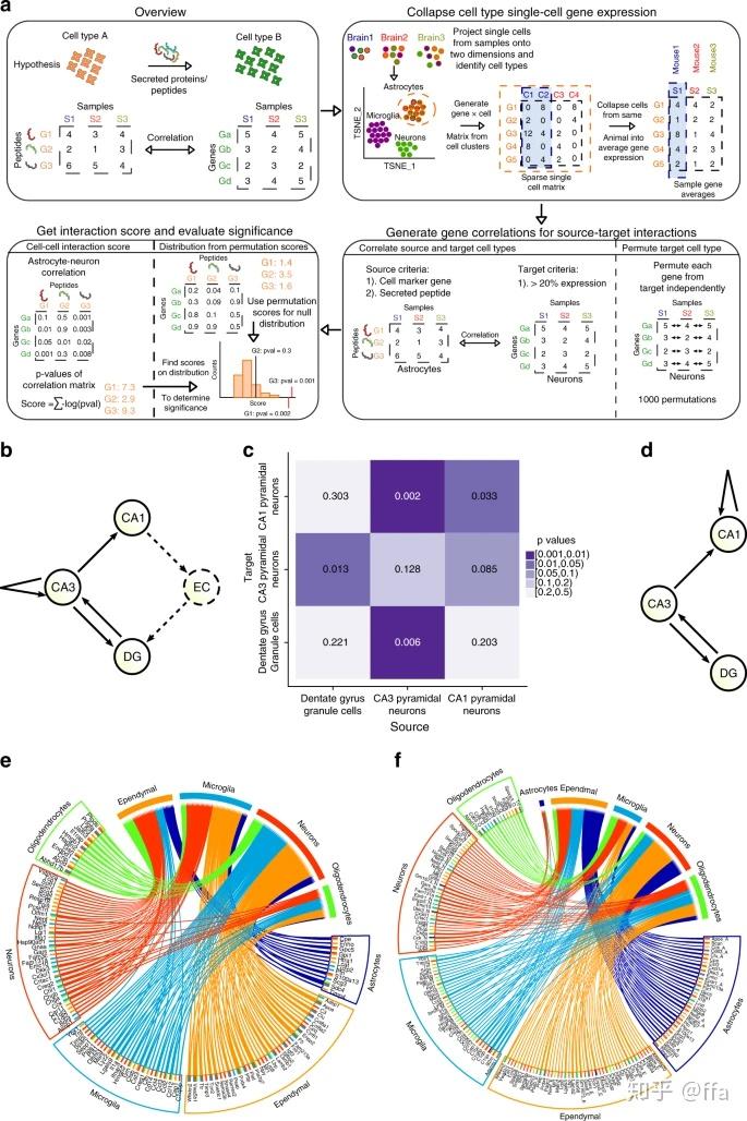 人类细胞图谱计划与单细胞测序32——空间转录组与eqtl的一段审稿问答