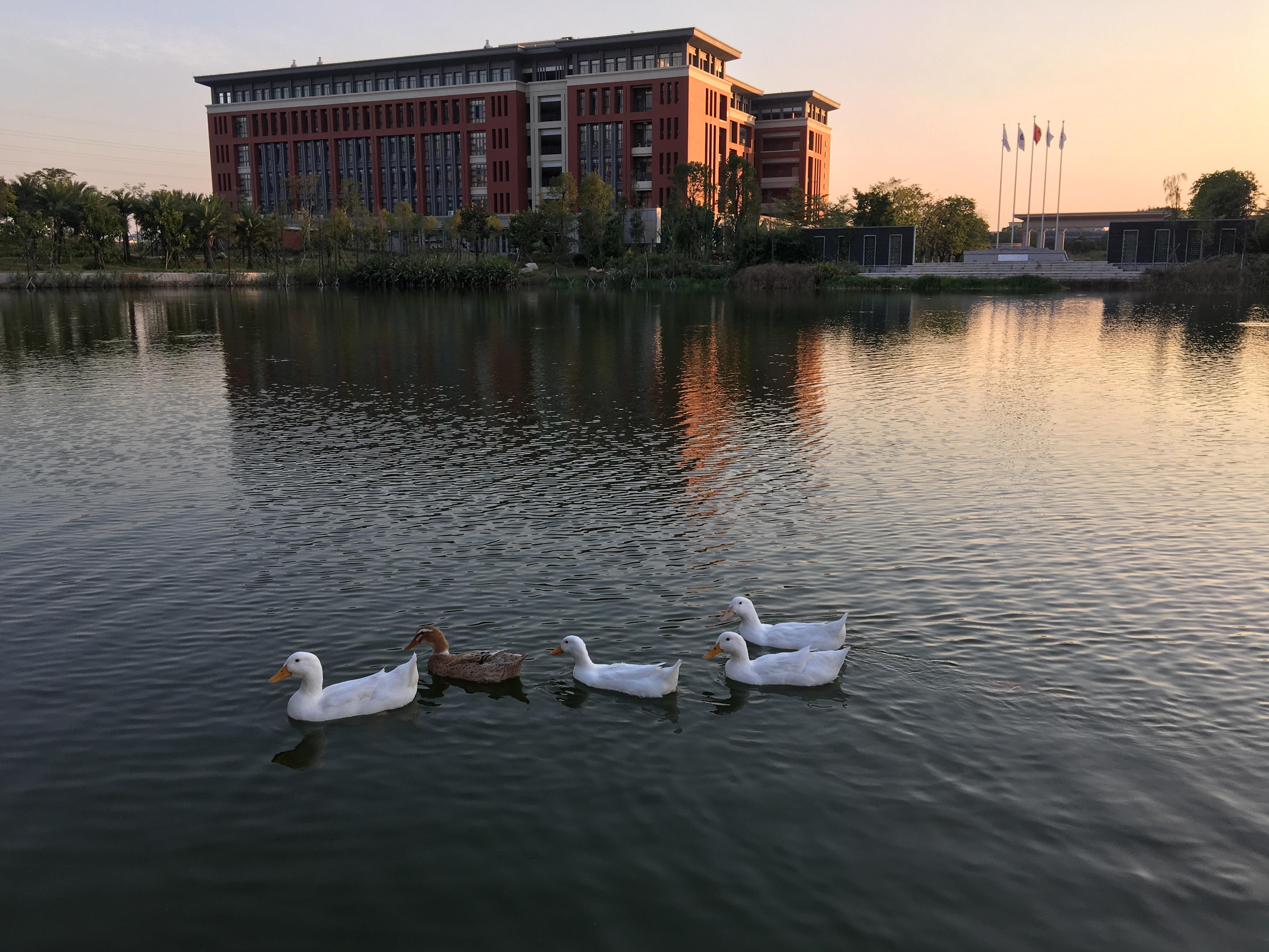 广东医学院校园风光图片