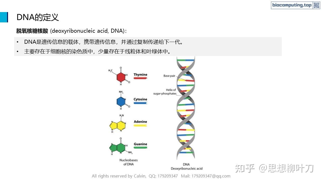 AI+生物计算基础 - 3. DNA的结构与功能 - 知乎