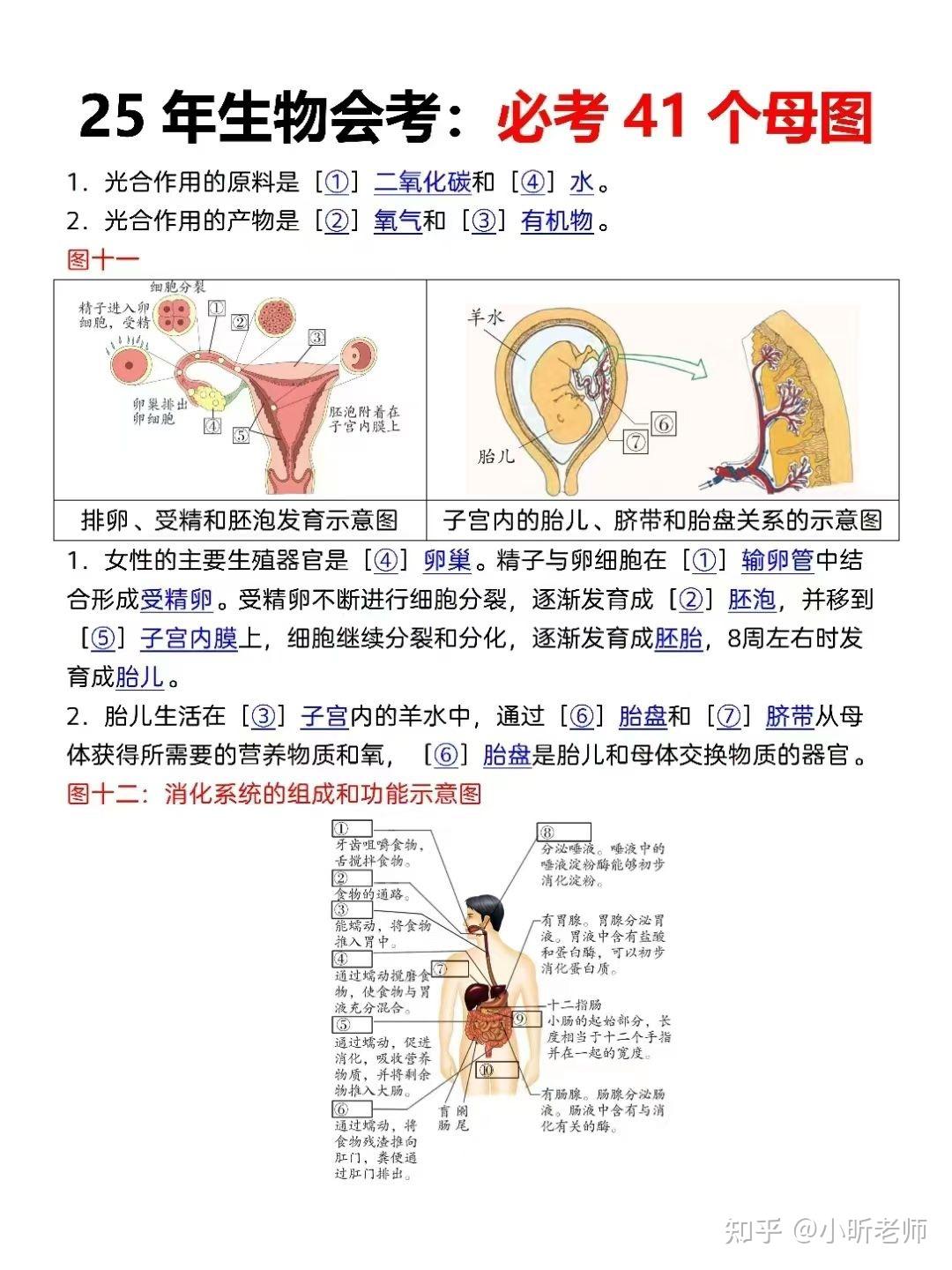 25年生物会考反反复复就这41个母图‼️ 💕老师整理了会考常考母题汇总💥 - 知乎