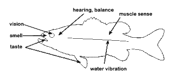 v2-ee08572fa900fa2e70e076bf413ec62b_b.jpg
