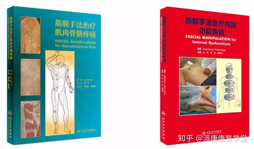 fm肌骨筋膜手法可处理的问题之下背痛篇