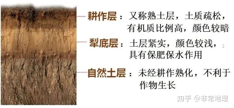 植被与土壤的十四大地理问题 知乎