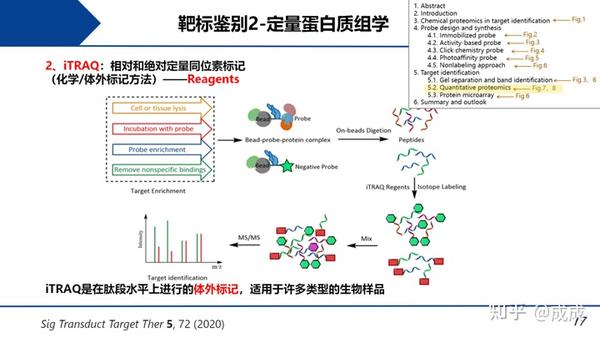 文献解读| 用化学蛋白质组学方法鉴定天然药物的靶标:探针合成、钓靶和蛋白质鉴定 - 知乎