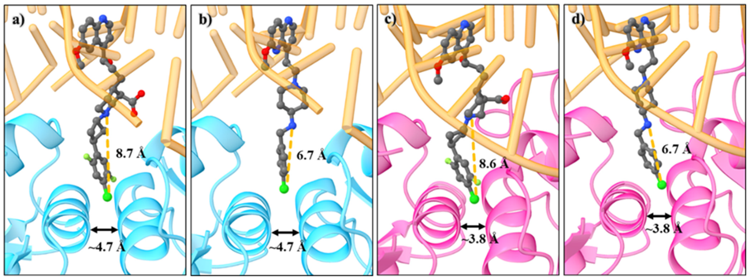 药物发现│细菌拓扑异构酶ivtopoiv抑制剂结构特征决定活性