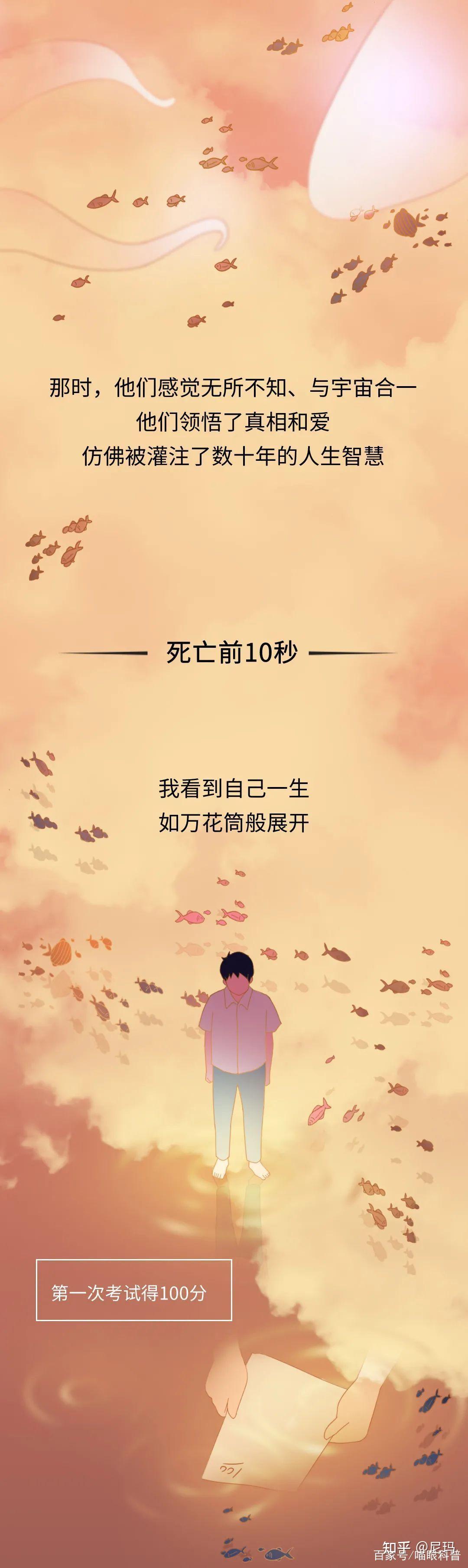 死亡前的30秒,人会“看见”什么?一组漫画科普,亲历者给出答案 - 知乎