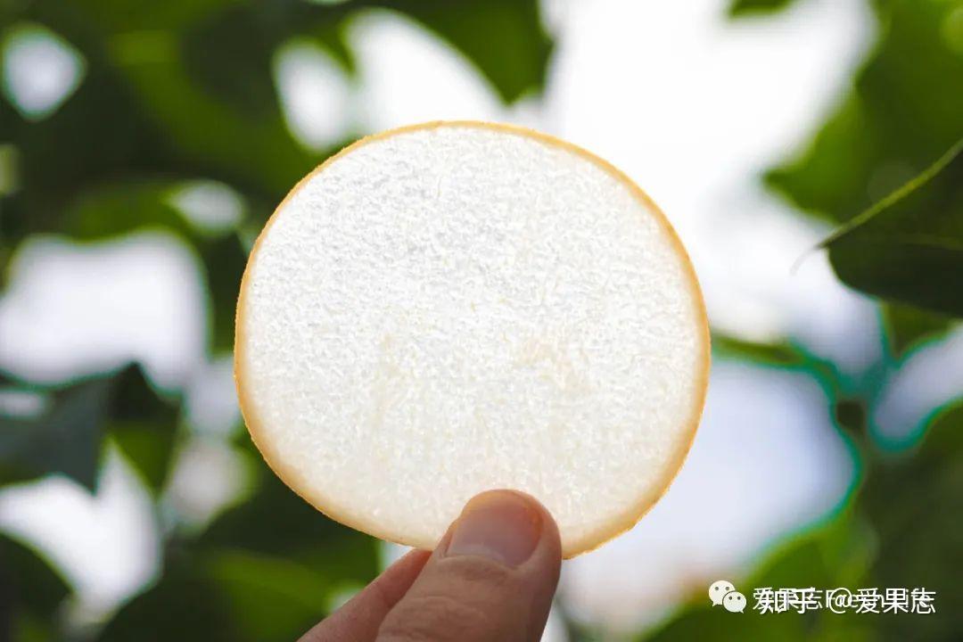 爱果志秋月梨爱果志秋月梨产自山东莱西,临近莱西水