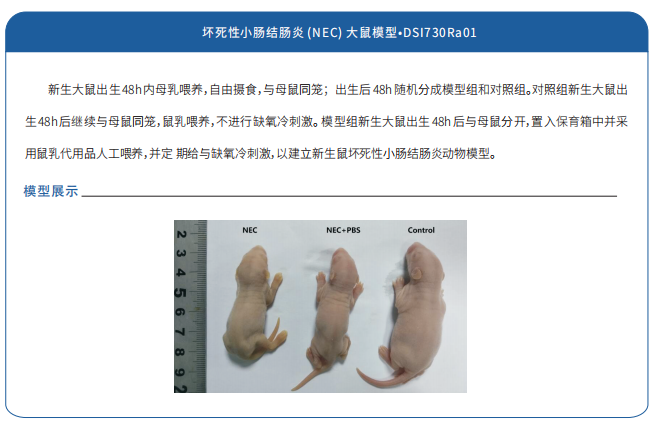 氧化钨纳米颗粒wo3nps在炎症性肠病中的治疗潜力