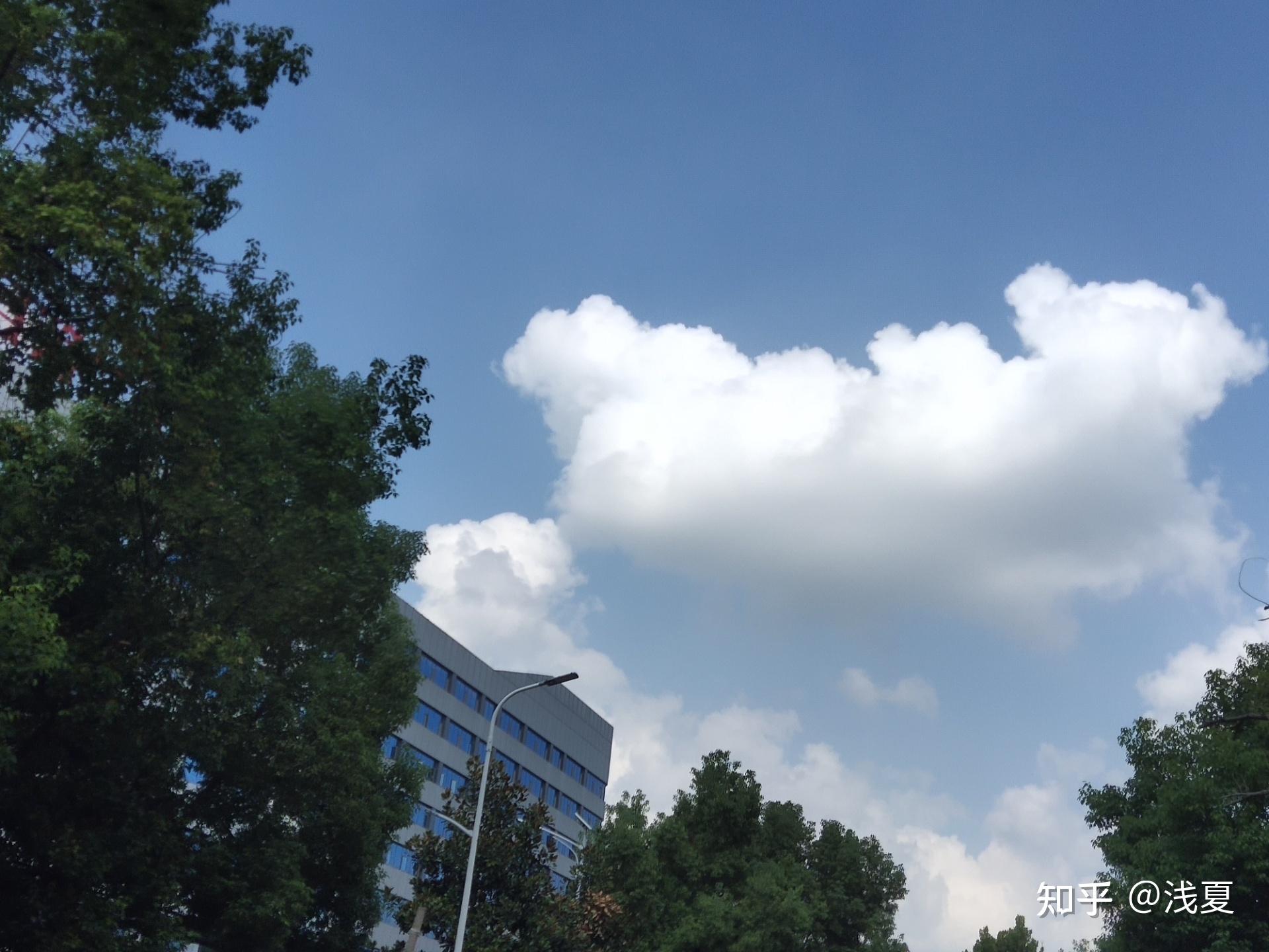 你有突破100个粉丝了吗？  第3张