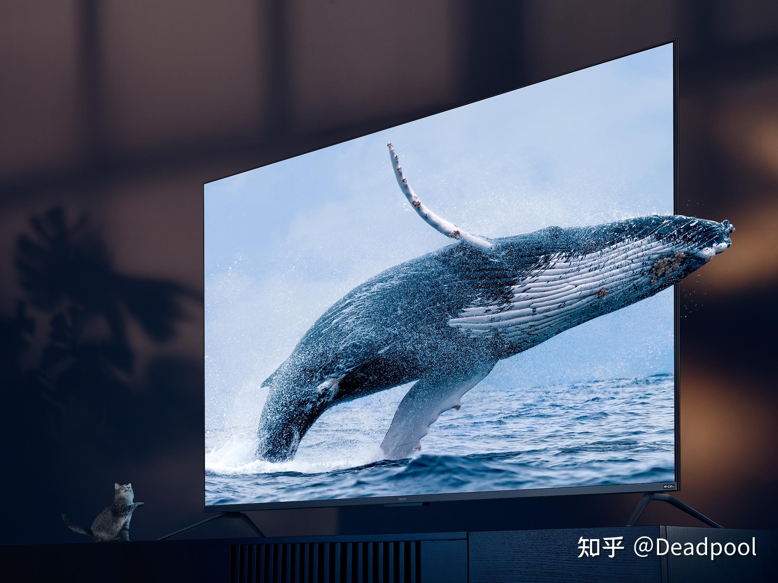如何评价9月26日发布的oppok9智能电视75英寸