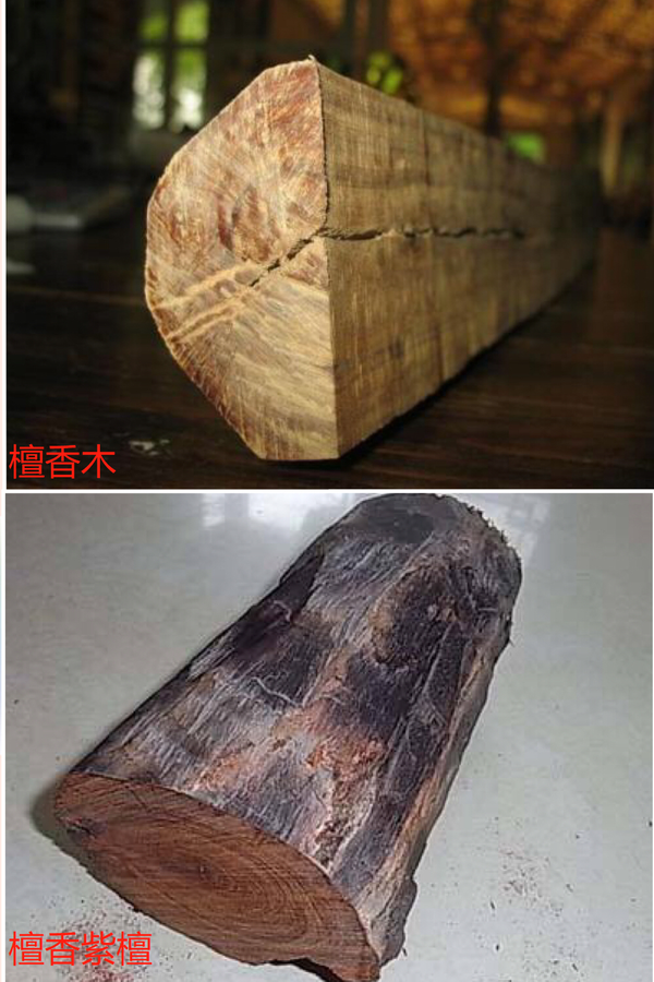 如何区分檀香木和檀香紫檀? - 知乎