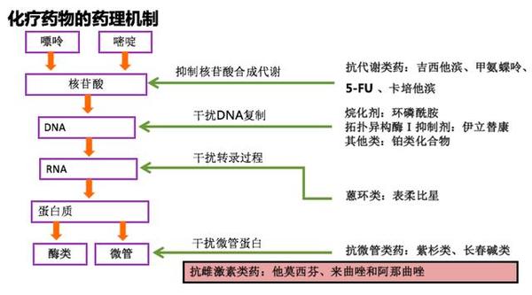 知乎专栏