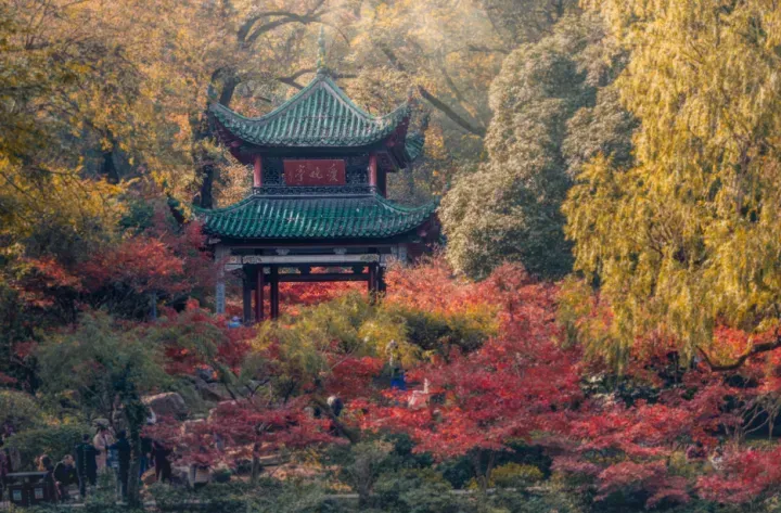 长沙旅游：2月份去长沙之前这篇攻略一定要看！！去了长沙5次总结出来的超全！ - 知乎