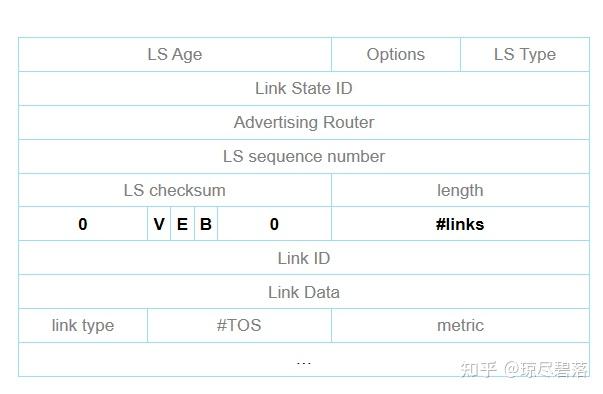 OSPF-1类Router LSA学习 - 知乎