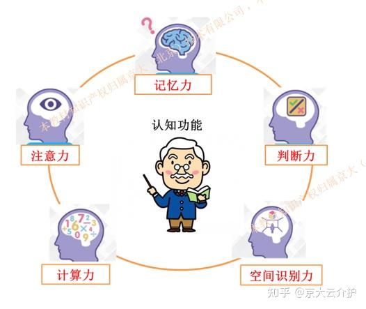 你了解自己的大脑认知功能吗
