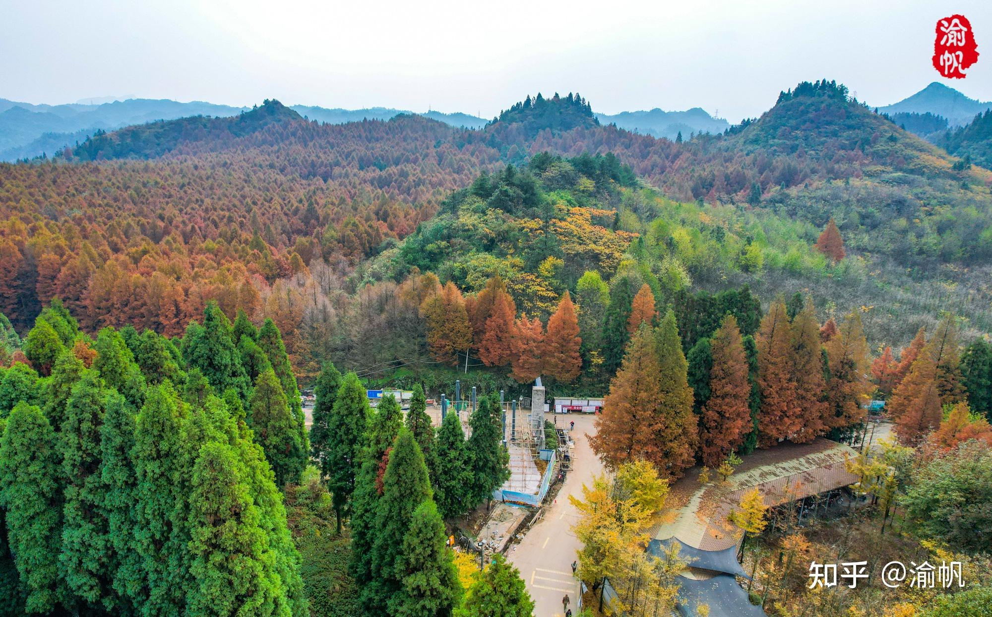 南川山王坪,欣赏真正的平分秋色,堪称重庆最美的秋景