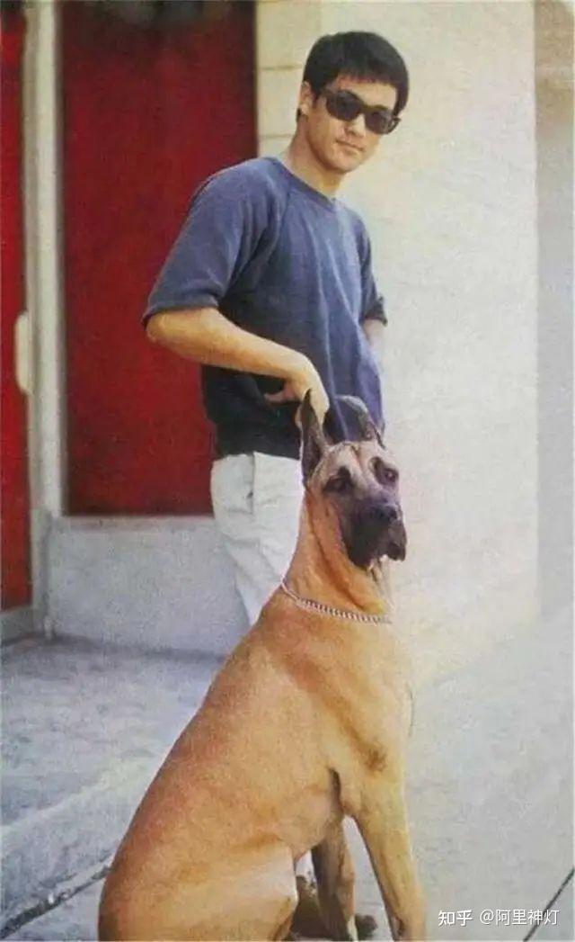 何东的弟弟何福,又名何启福.他做过洋行买办.