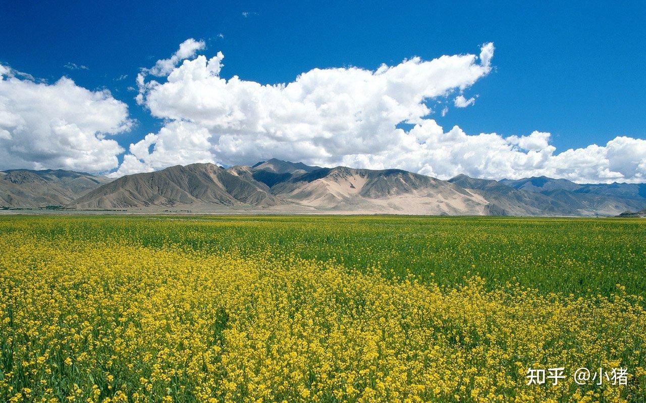 平板壁纸_平板壁纸10.