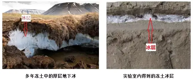 寒冷让大地也会起“鸡皮疙瘩” - 知乎