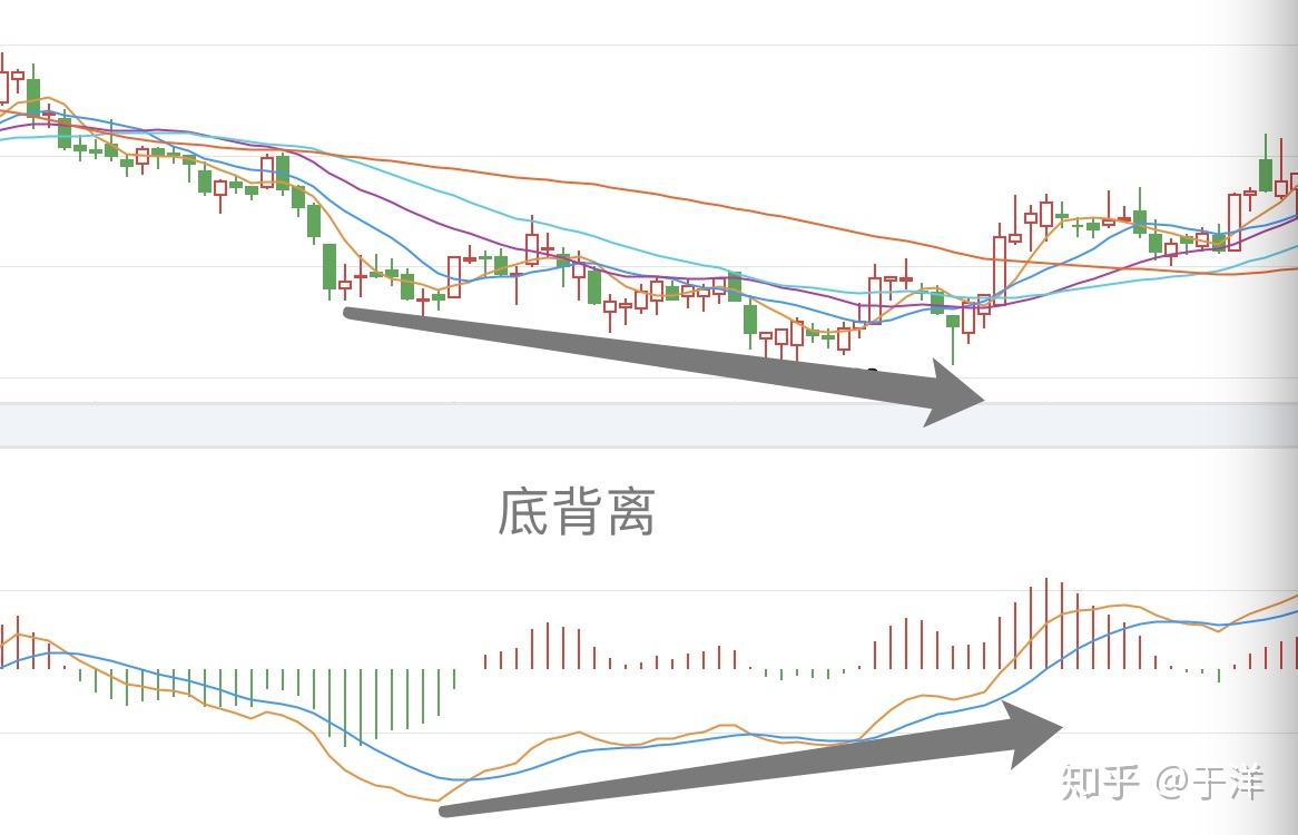 最友好的股市入门系列— 基础篇（四） - 知乎