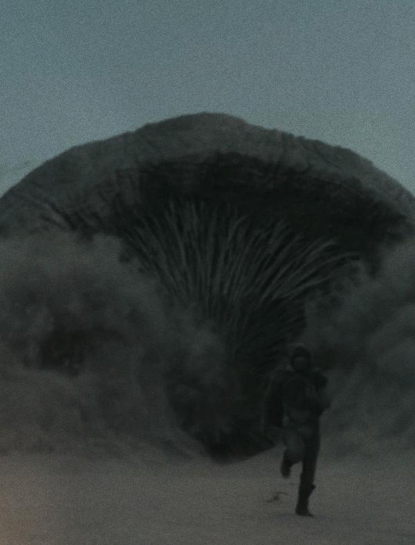 电影里吃人的沙虫现实中挺好吃