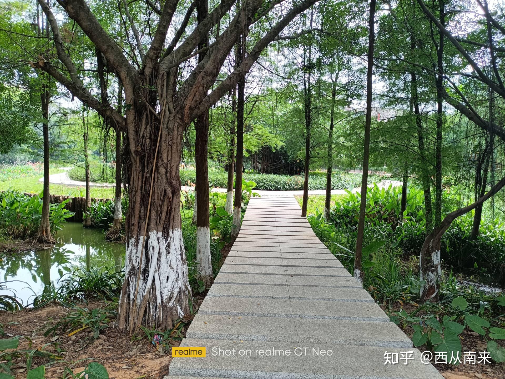 毕竟是定位偏向电竞的手机,我对 realme gt neo 拍照的预期还是比较低