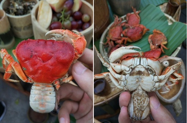 作为亲戚它们的差别也太大了吧